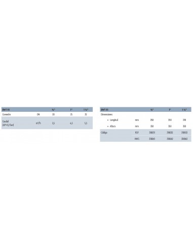FILTRO AUTOLIMPIANTE ATH BWT R1/25 RSF 1"